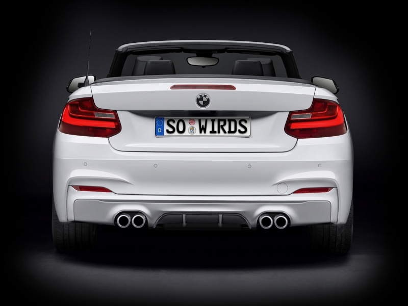 Auspuff-und-Felgendesign-04